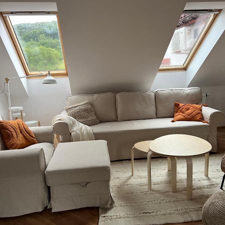 Apartament W Centrum - Nasze Poddasze Ustrzyki Dolne Εξωτερικό φωτογραφία