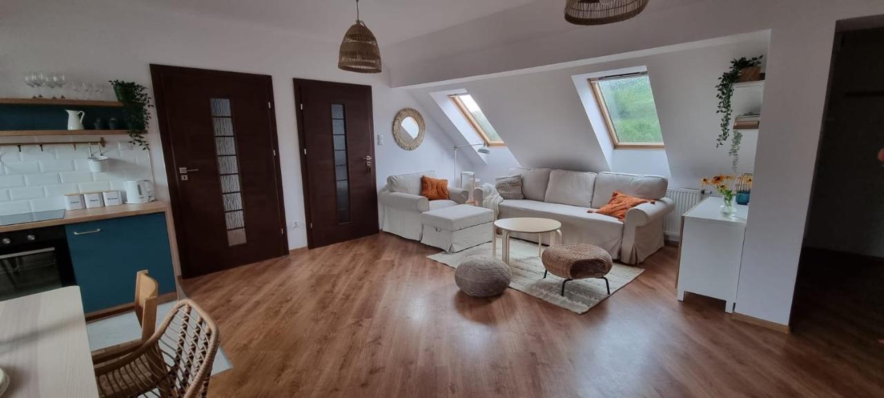 Apartament W Centrum - Nasze Poddasze Ustrzyki Dolne Εξωτερικό φωτογραφία