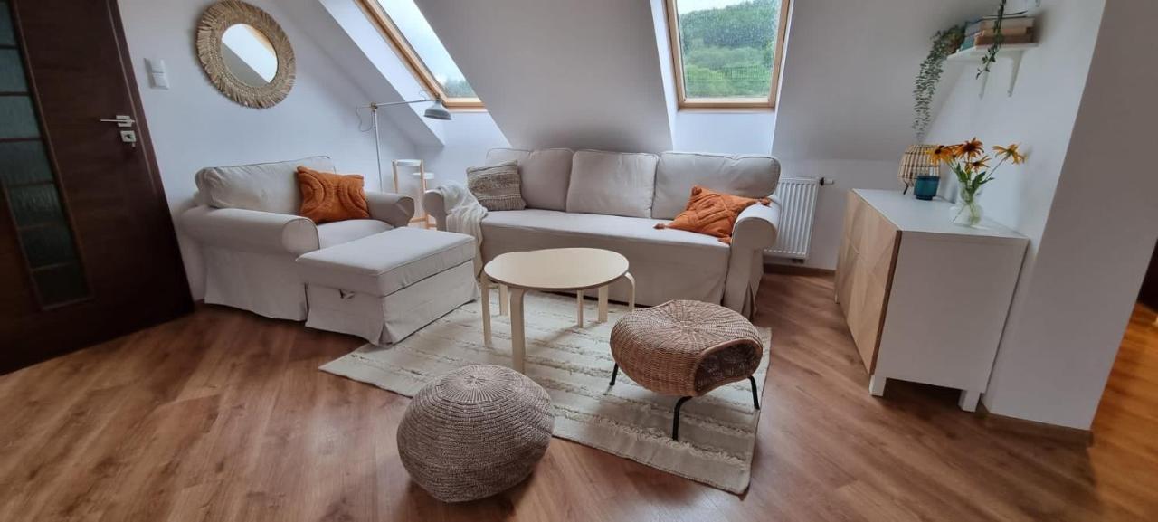 Apartament W Centrum - Nasze Poddasze Ustrzyki Dolne Εξωτερικό φωτογραφία